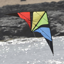 Wingman Beginner Sport Kite 2025